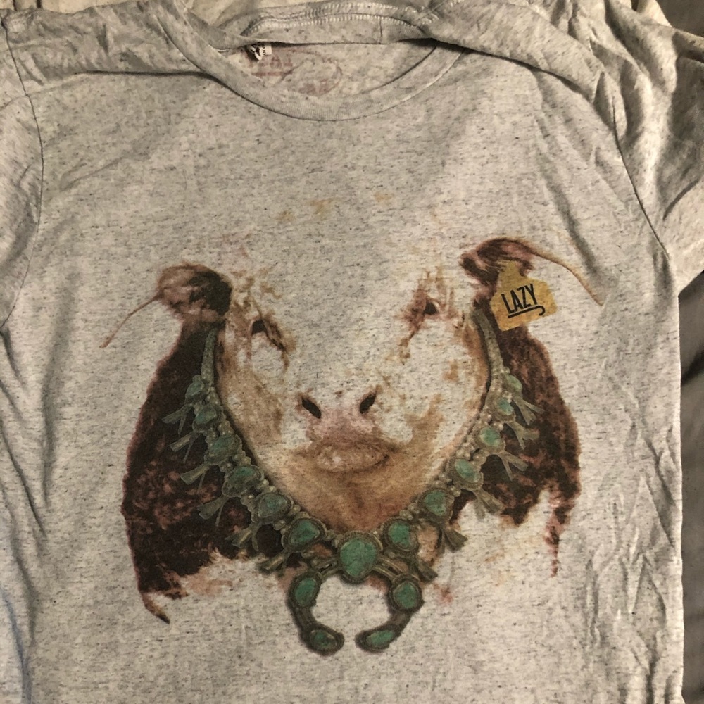 Hereford with turquoise t-shirt